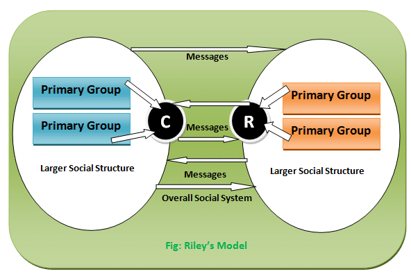 Rileys' Model