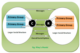 Rileys' Model