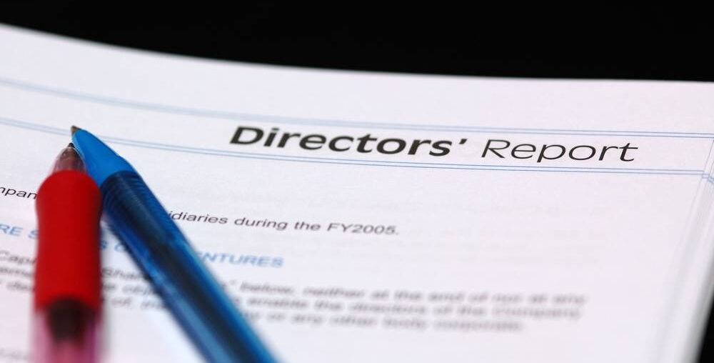 What is Director’s Report?