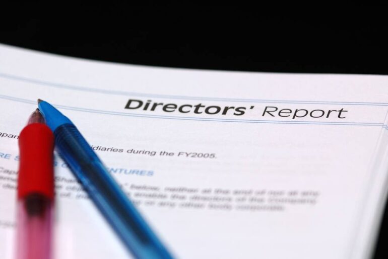 What is Director’s Report?
