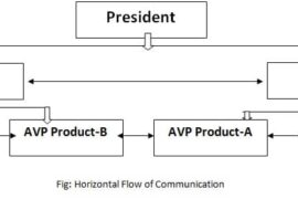 In the above diagram, the arrows in horizontal lines depict horizontal communication. In conclusion, we can say that horizontal communication is the exchange of information among the people holding the same position, rank and status in the organization hierarchy.